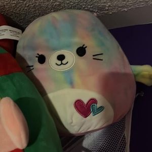 RARE Valentines Canadian Exclusive 8” Ale Squishmallow